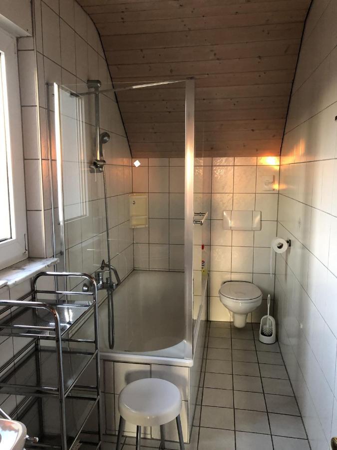 Apartament Ferienhaus Irene Vogtsburg im Kaiserstuhl Zewnętrze zdjęcie