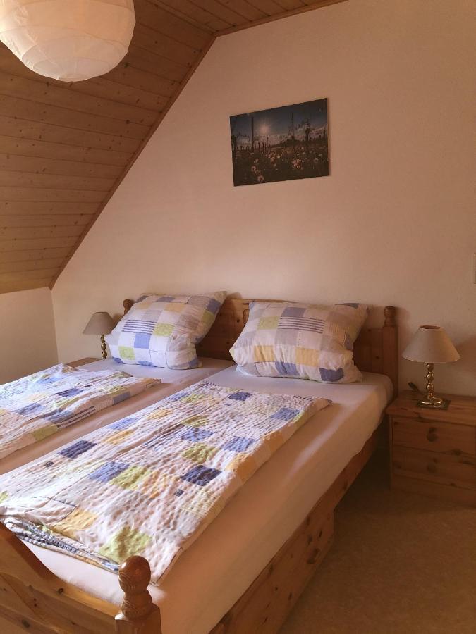 Apartament Ferienhaus Irene Vogtsburg im Kaiserstuhl Zewnętrze zdjęcie