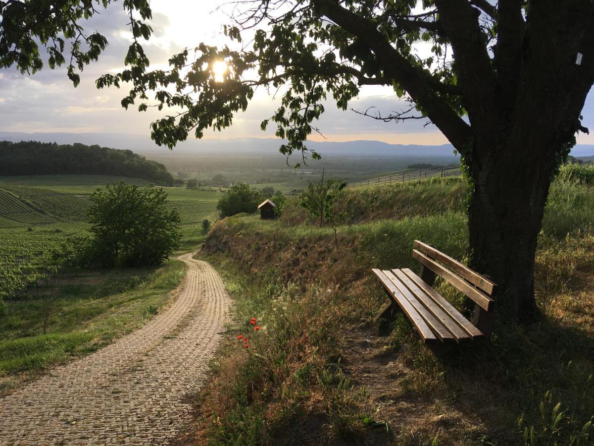 Apartament Ferienhaus Irene Vogtsburg im Kaiserstuhl Zewnętrze zdjęcie