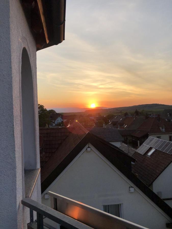 Apartament Ferienhaus Irene Vogtsburg im Kaiserstuhl Zewnętrze zdjęcie