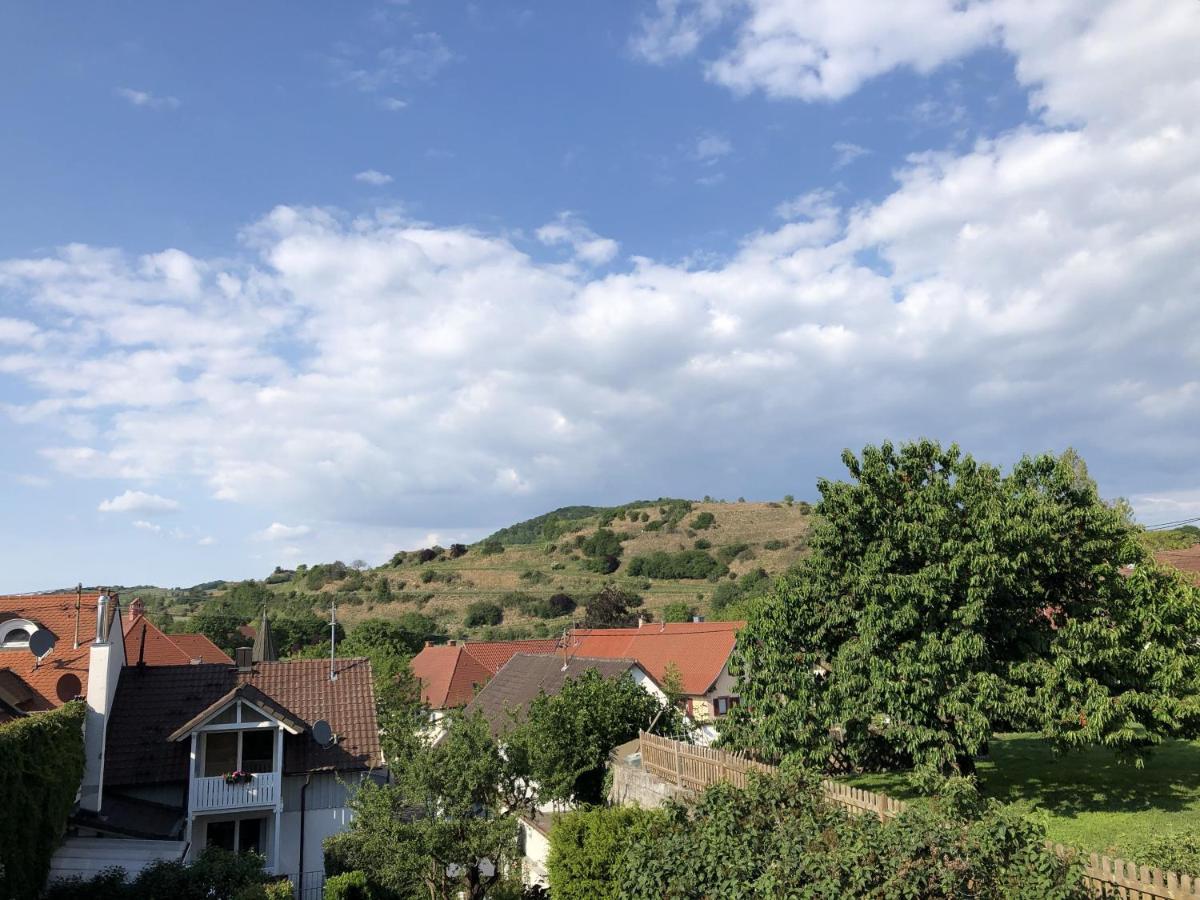 Apartament Ferienhaus Irene Vogtsburg im Kaiserstuhl Zewnętrze zdjęcie