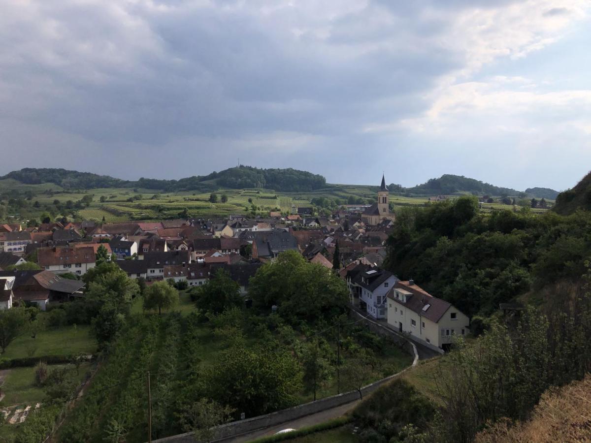 Apartament Ferienhaus Irene Vogtsburg im Kaiserstuhl Zewnętrze zdjęcie