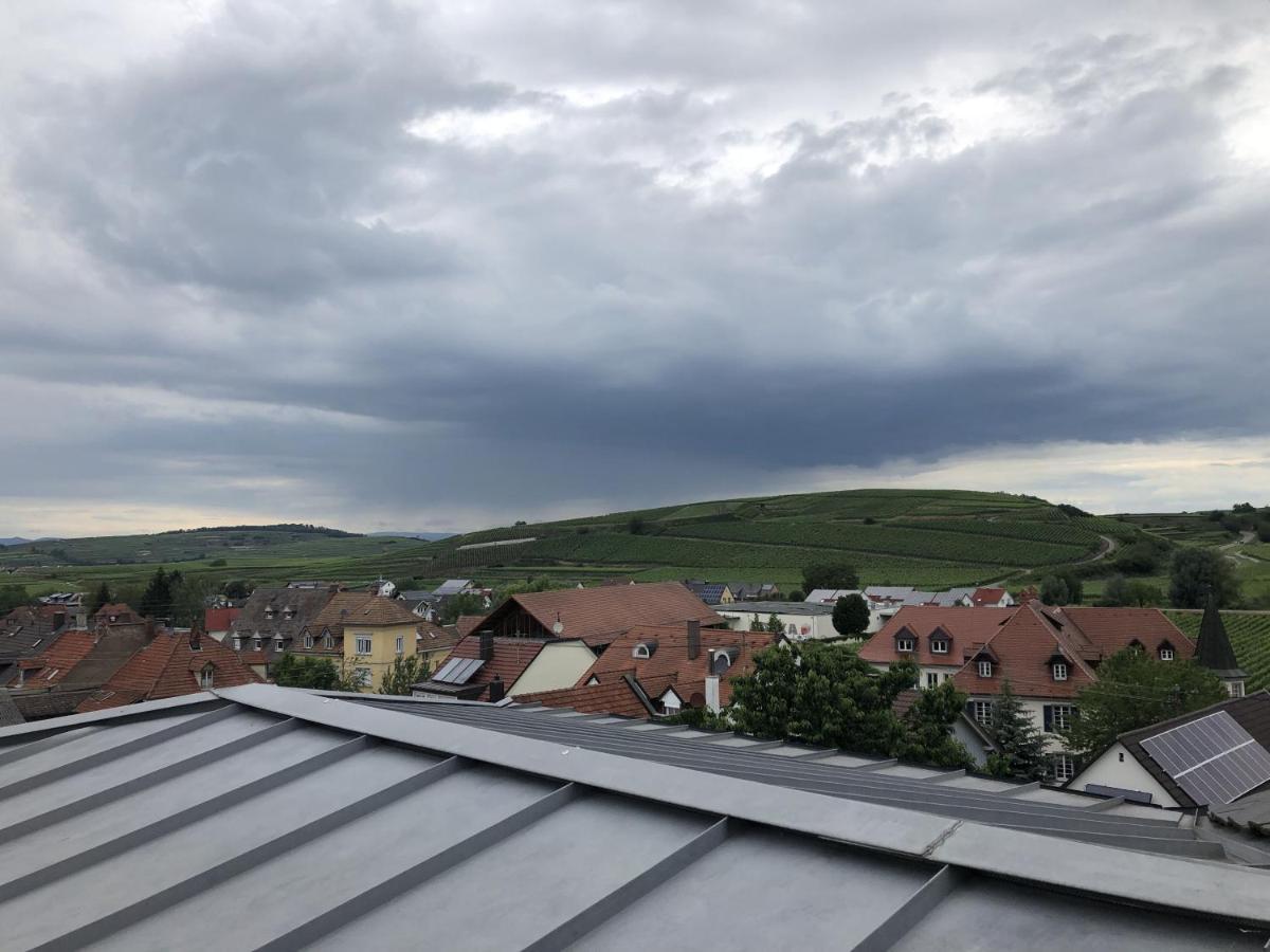 Apartament Ferienhaus Irene Vogtsburg im Kaiserstuhl Zewnętrze zdjęcie