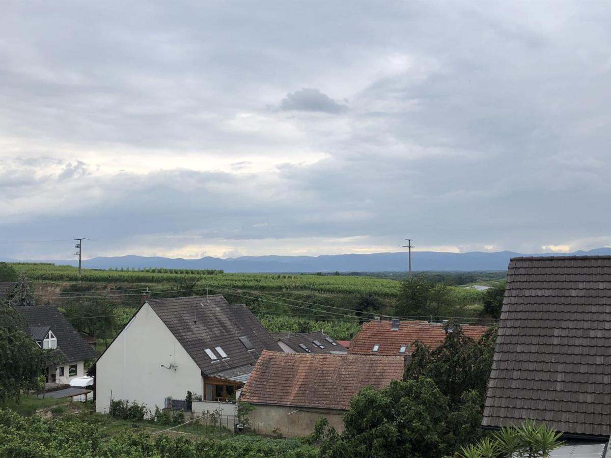 Apartament Ferienhaus Irene Vogtsburg im Kaiserstuhl Zewnętrze zdjęcie