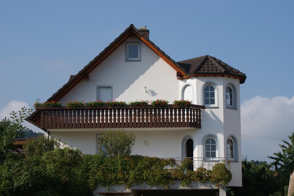 Apartament Ferienhaus Irene Vogtsburg im Kaiserstuhl Zewnętrze zdjęcie